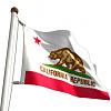 newbie in 209 Nor Cal-californiaflag.jpg